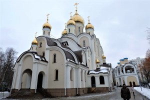 Храм Матроны Московкой в Дмитровском